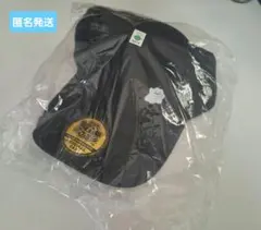 「匿名発送」ぽこあポケモン　特典メタモンキャップ