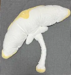 Sky星を紡ぐ子どもたち マンタぬいぐるみ マンタぬいぐるみ (98cm) – thatskyshop JP