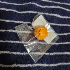 ねんどろいど 大きな食べ物 かぼちゃ