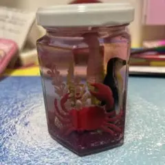 ミニチュア瓶 カニ ペンギン タツノオトシゴ