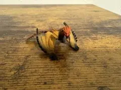 Item thumbnail for item 65791aaa-c37d-4f16-959d-59492cf58d0f