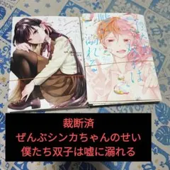 【裁断済】ぜんぶシンカちゃんのせい 僕たちは嘘に溺れる セット