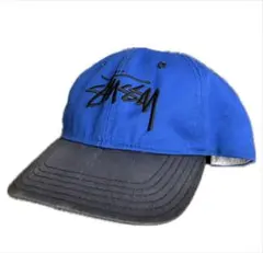 レア デッドストックOLD STUSSY × T19 スイングトップ g9 - メルカリ