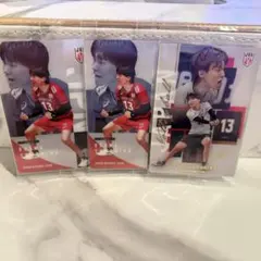 男子バレーボール ウエハース レアカード 小川智大