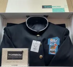 Item thumbnail for item 5711b530-b383-4833-afb6-470caf3fb055