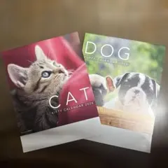 Item thumbnail for item ab7f65ae-31a6-46d0-b0d3-757aa397dd07