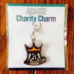 嵐 チャリティーチャーム 大量値下げ