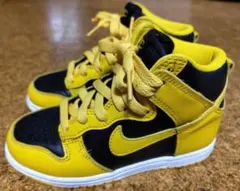 NIKE DUNK HIGH PS 中古 18cm アイオワ ナイキ ダンク