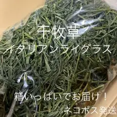 Item thumbnail for item 4b3aaaf9-4cee-44e8-9d56-2013a57c927a