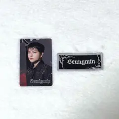 Straykids スンミン　アプグレ特典　ワッペンステッカー　トレカ