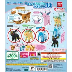 【美品】ブイズCHRセット ブイズCHRセット!おまけプロモ付き！ 1枚の通販 コレクターM