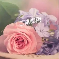 にゃんたん様　専用になります