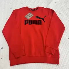 プーマ　PUMA キッズ　トレーナー　裏毛 150のサムネイル