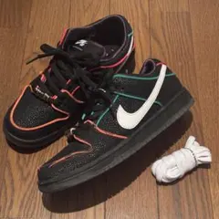 Bronx Girls Skate Nike SB Dunk Low