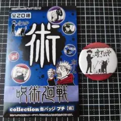呪術廻戦 collection 缶バッジ プチ 【術】