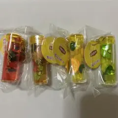 リプトン　ちゅるプカチャーム2 コンプリート