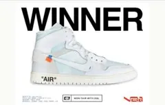 Nike Air Jordan1 Retro High OG 「阿拉斯加」