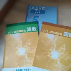 最新版　小6　早稲田アカデミー　2025年　夏期講習会　上位校　8冊　国語 早稲田アカデミー 小6理科 夏期講習テキスト 2025年版 - メルカリ