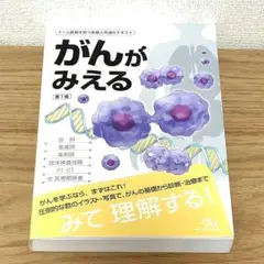 がんがみえる