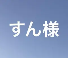 すん様 専用