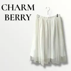 CHARMBERRY チャームベリー　プリーツチュールスカート　膝丈　Lのサムネイル