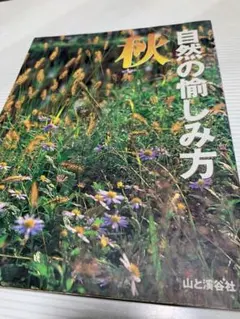 秋の楽しみ方 山と溪谷社