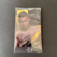 RIZINウエハース　NO.09 エドポロキング