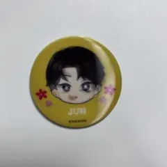 SEVENTEEN ジュン Petiteen 缶バッジ