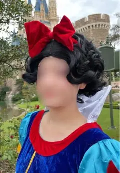 白雪姫 ウィッグ W2063 ディズニー 白雪姫 風 コスプレウィッグ