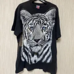 Item thumbnail for item b79e53e4-c8a3-4db9-bb40-522f0546a380