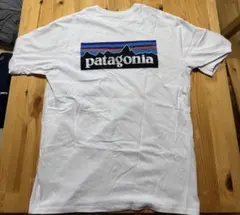 パタゴニア Tシャツ 廃番 sty38512sp20