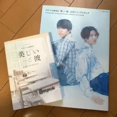 TVドラマ&劇場版「美しい彼」公式ビジュアルブック 公式シナリオブック 坪田文