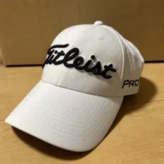 Item thumbnail for item 549a1053-66d6-4159-bf03-6251d5073a84