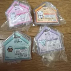 BT21 パッケージチャーム