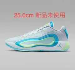 【新品未使用】 NIKE ジョーダン ルカ 4 PF 25.0cm