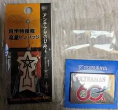 2025年最新】ウルトラマンピンバッチの人気アイテム - メルカリ