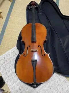 ビオラ C. A. Wunderlich Siebenbrunn 1910年頃 - メルカリ