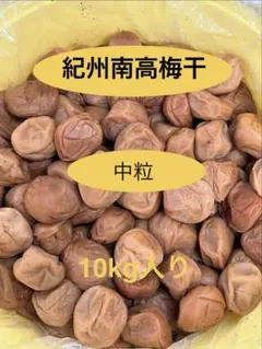 0636❄️クール便無料【枝完熟南高梅】4L10kg 梅干専用キルトパッチ梅店 0636❄️クール便無料【枝完熟南高梅】4L10kg 梅干専用キルトパッチ梅