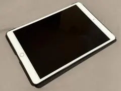 iPad Pro 10.5 インチ 256GB