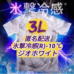 【人気品薄】ワークマン 氷撃冷感 -10℃ 半袖Tシャツ 3L ジオホワイト