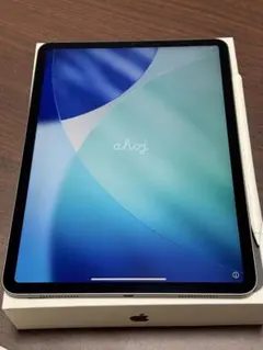 iPadPro 11インチ 第1世代 256GB WiFiモデル スペースグレイ