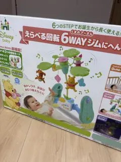 えらべる回転 6WAYジム