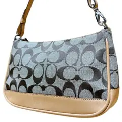 美品 コーチ アクセサリーポーチ ワンショルダーバッグ 6094 シグネチャー