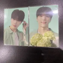 HANABI seventeen ディノ　トレカ