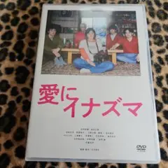 愛にイナズマ DVD