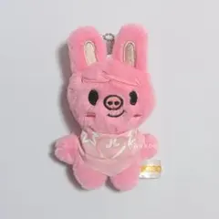 Stray Kids skzoo チャンビン　ぬいぐるみ　コスチューム 2025年最新】straykids チャンビン ぬいぐるみの人気アイテム