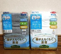 GUNZE 紳士用 失禁パンツ LL 2枚セット スパンブリーフのサムネイル
