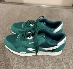 【値下げ】15,000→5,500Reebok /DV5791/ ローカット