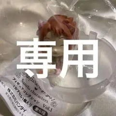 専用Yes！プリキュア5GoGo！×サンリオキャラクターズ フィギュアVol.1