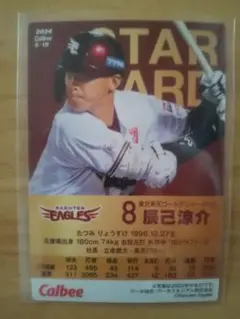 カルビープロ野球チップス 辰己涼介選手スターカード 楽天イーグルス